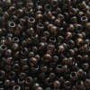 Transparent - Dark Brown 11/0 Japanese Seed Beads (6in tube)